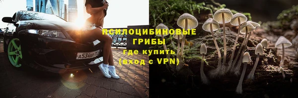 герыч Алексин