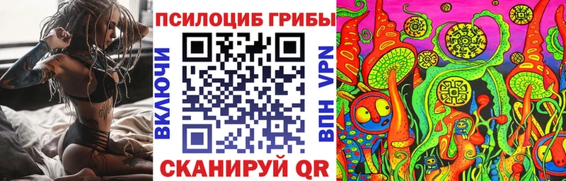 как найти закладки  Дно  Галлюциногенные грибы Magic Shrooms 